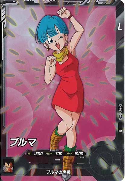 DB_SDV7]ブルマ【R】SDV7-024 – フルコンプ ONLINE SHOP