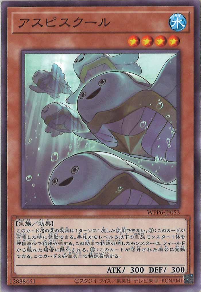 [WPP6]アスピスクール(ノーマル)WPP6-JP053
