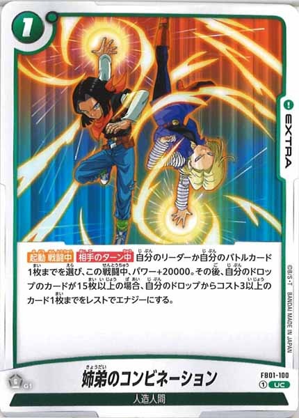 [FB01]姉弟のコンビネーション【UC】FB01-100