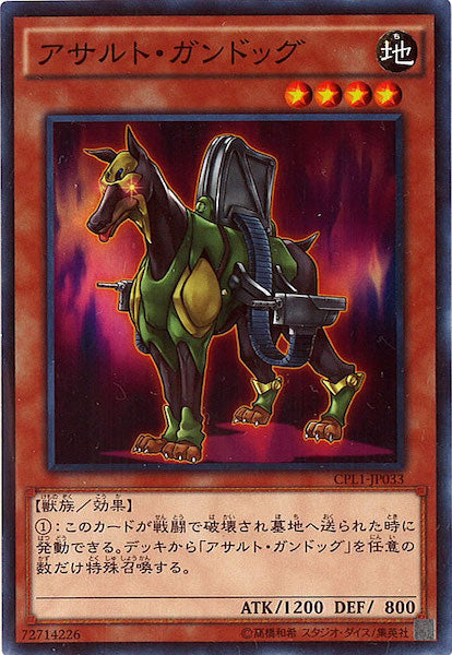 [CPL1]アサルト・ガンドッグ(ノーマル)CPL1-JP033