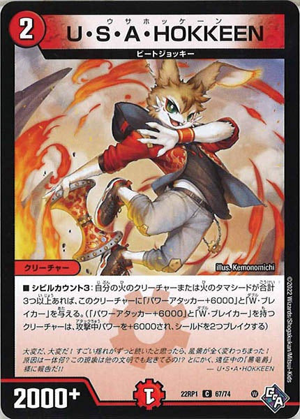 [DM22-RP1]U・S・A・HOKKEEN【C】67/74