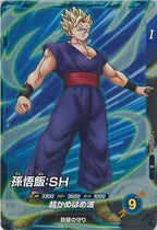 [DB_SDV11]孫悟飯：SH【R】SDV11-048