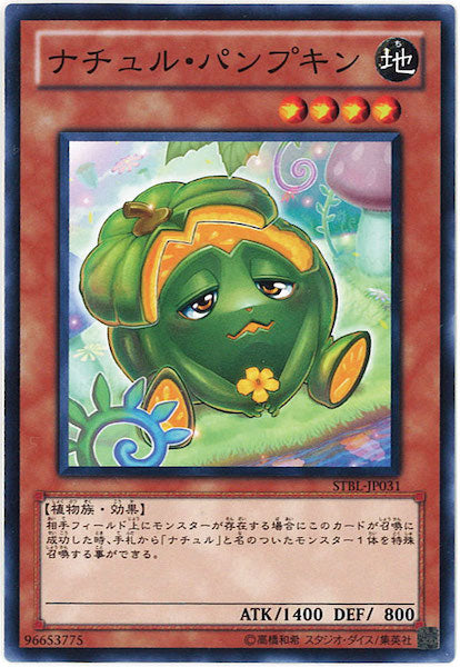 [STBL]ナチュル・パンプキン(ノーマル)STBL-JP031