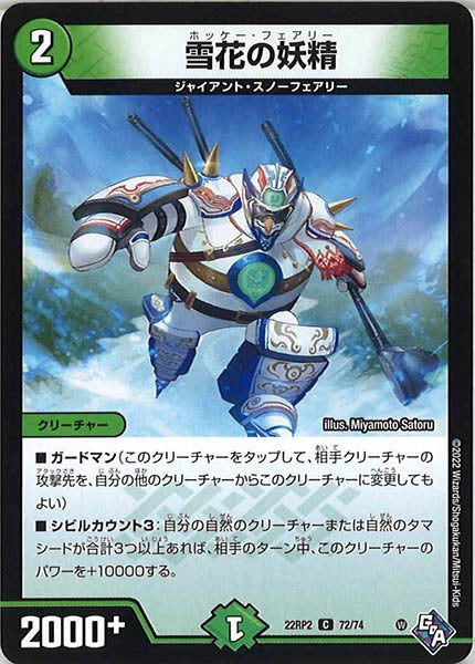 [DM22-RP2]雪花の妖精【C】72/74
