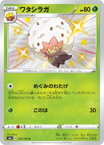 [S4a]ワタシラガ【S】210/190