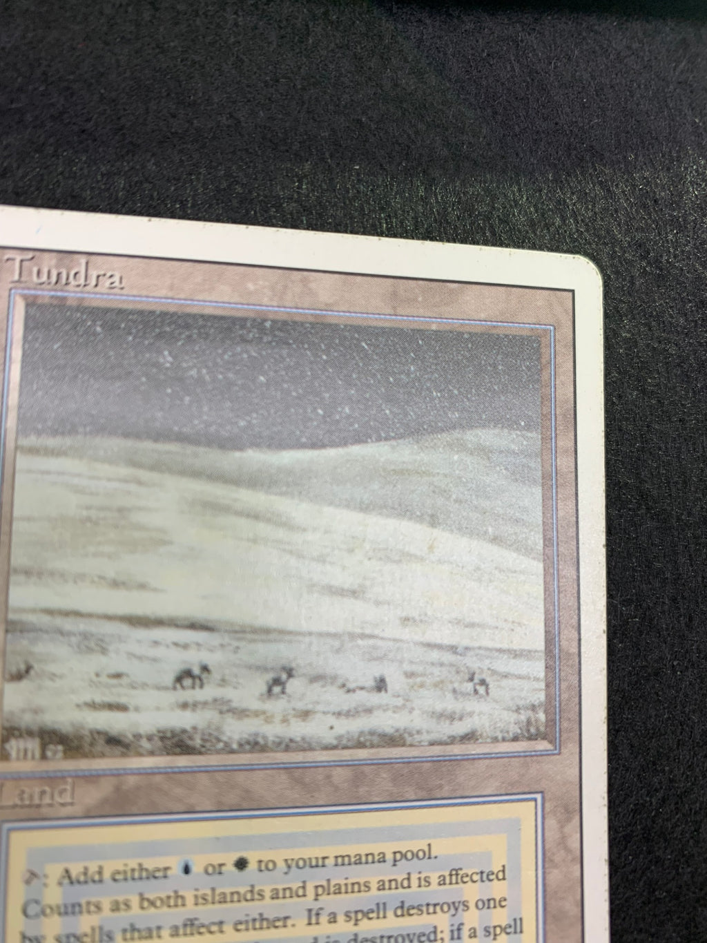《Tundra》[3ED][EN]