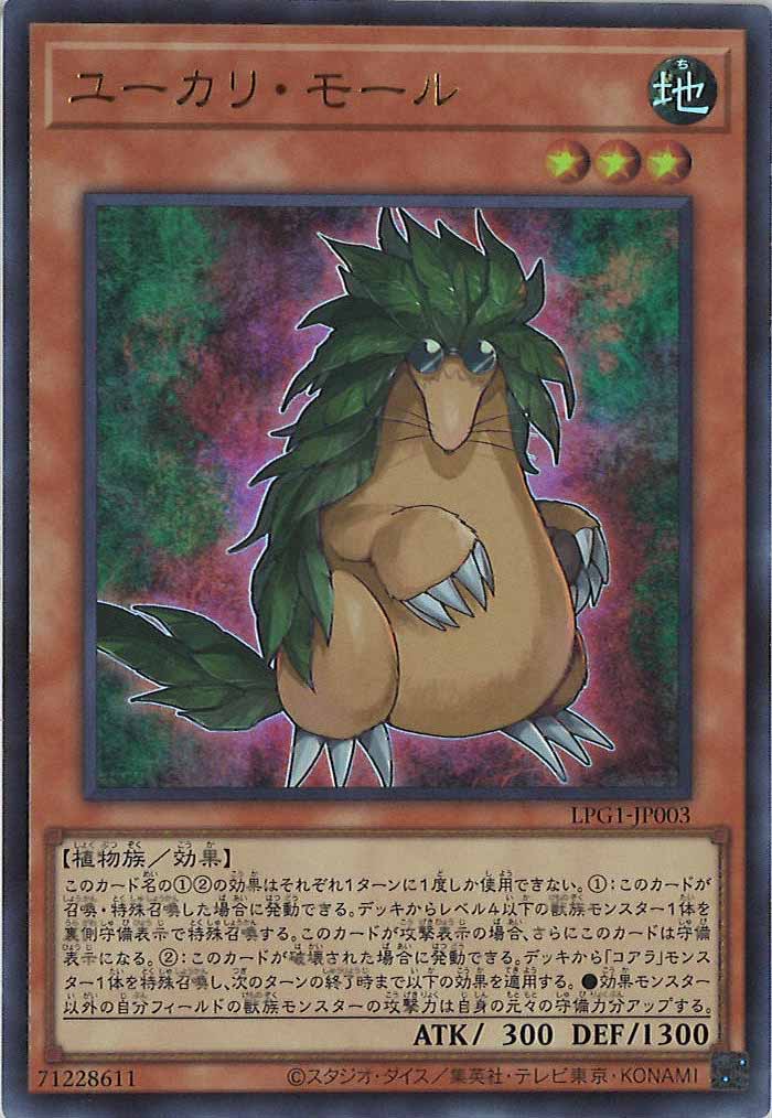 [LPG1]ユーカリ・モール(ウルトラレア)LPG1-JP003