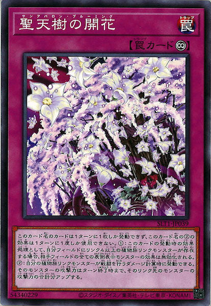 [SLT1]聖天樹の開花(ノーマル)SLT1-JP039