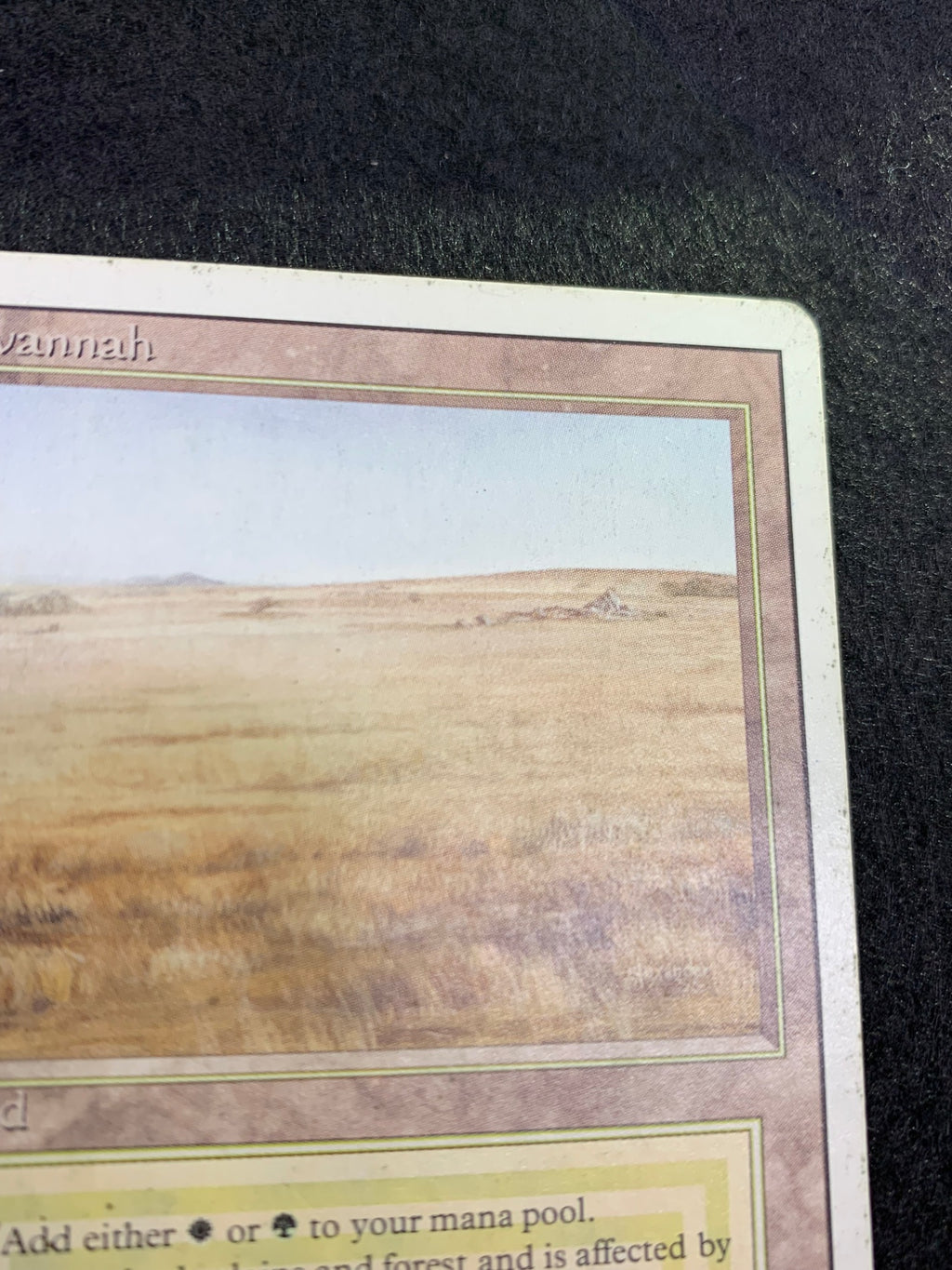 《Savannah》[3ED][EN]
