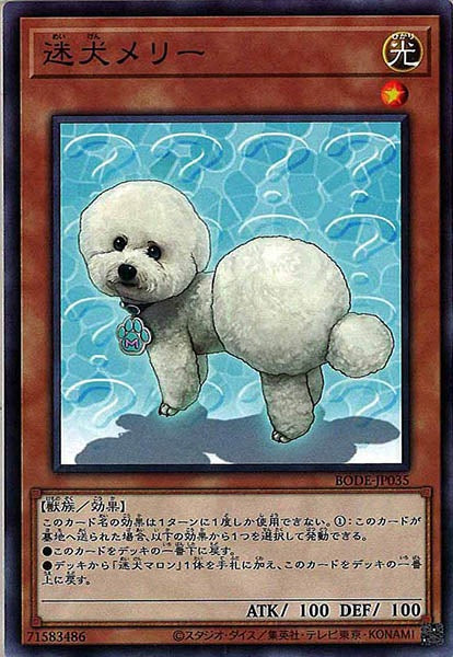 [BODE]迷犬メリー(ノーマル)BODE-JP035