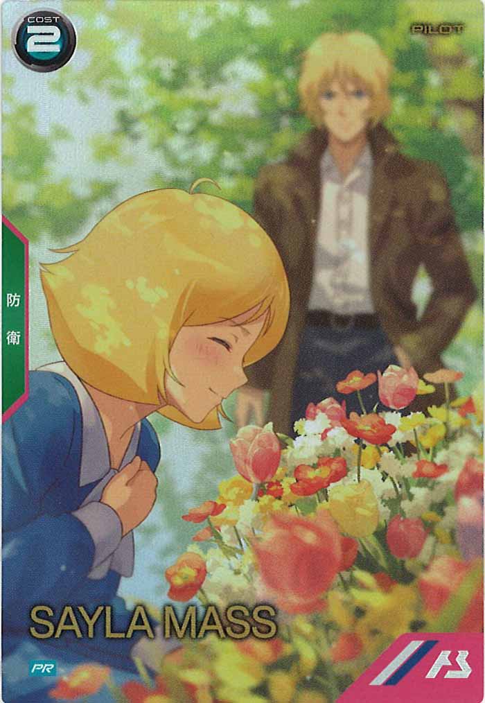 [PR]セイラ・マス【PR】PR-311