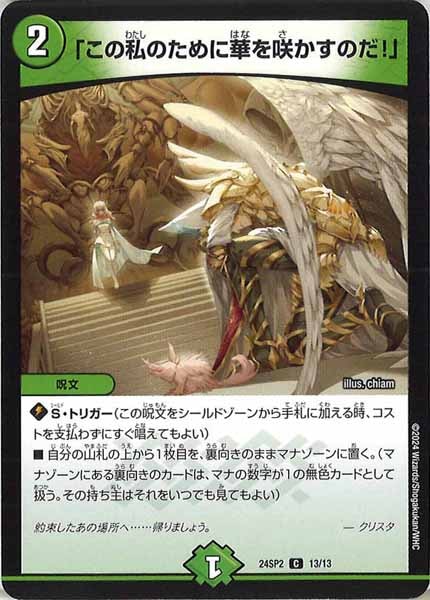 [DM24-SP2]「この私のために華を咲かすのだ！」【C】13/13