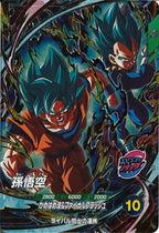 [DB_PR]孫悟空【CP】SDVP-026