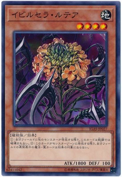 [IGAS]イビルセラ・ルテア(ノーマル)IGAS-JP027
