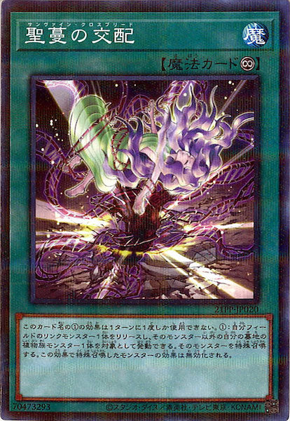 限定パック - 遊戯王カード/YuGiOhTCG トレカ通販-フルコンプ-ONLINE