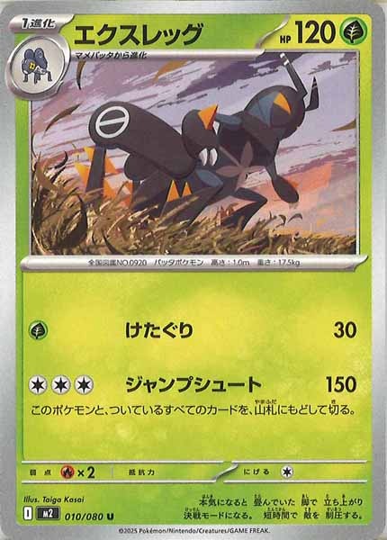 [M2]エクスレッグ【U】010/080