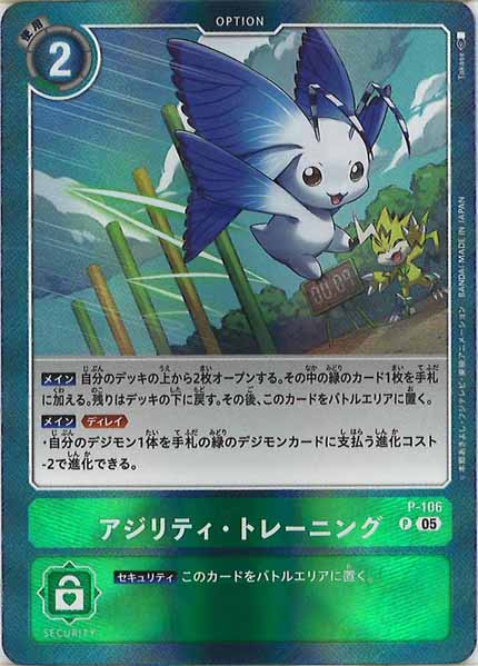 [AD-01]アジリティ・トレーニング（ホイル加工）【P】P-106