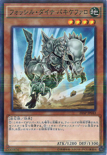 [20AP-1]フォッシル・ダイナ パキケファロ(ノーマルパラレル)20AP-JP043