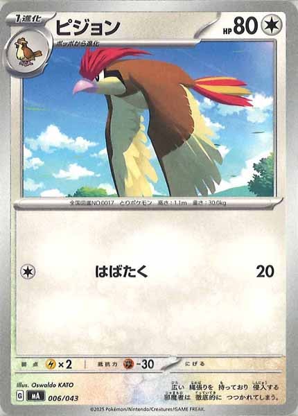 [MA]ピジョン【No Mark】006/043