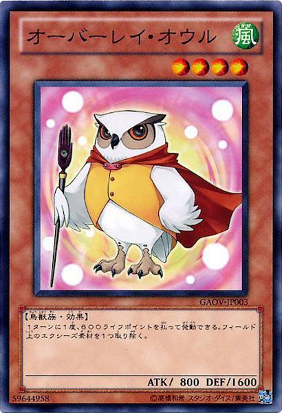 [GAOV]オーバーレイ・オウル(ノーマル)GAOV-JP003