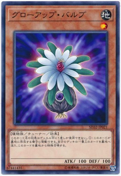 [SD32]グローアップ･バルブ(ノーマル)SD32-JP021