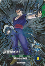 [DB_SDV11]孫悟飯:SH【PUR】SDV11-PUR2