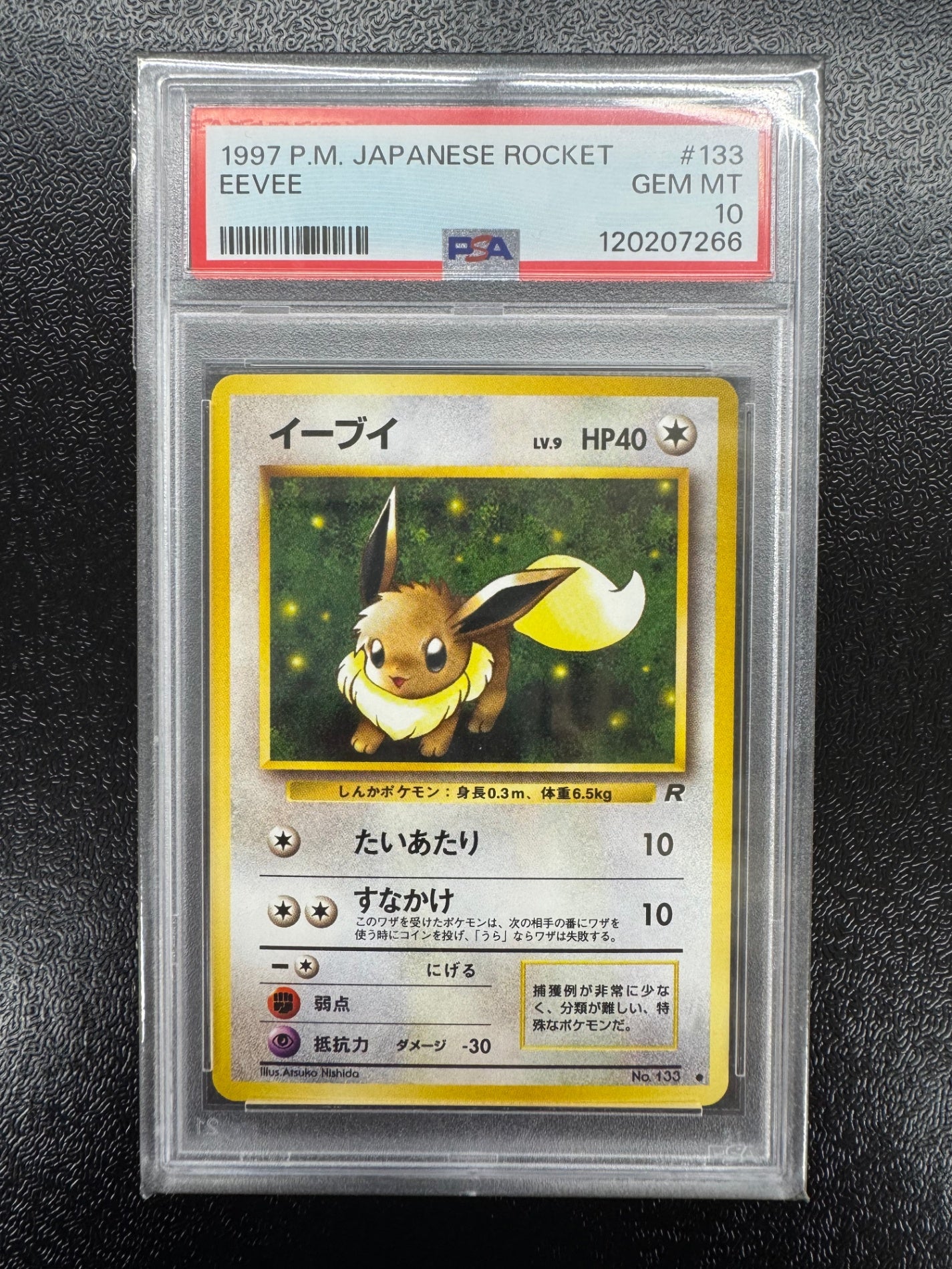 【鑑定品PSA10】イーブイ【●】113 IT1CU3O8SUWC