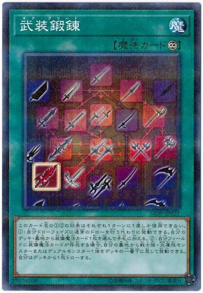 [SR09]武装鍛錬(ノーマルパラレル)SR09-JP021