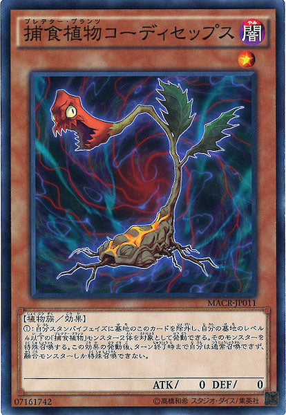 [MACR]捕食植物コーディセップス(ノーマル)MACR-JP011