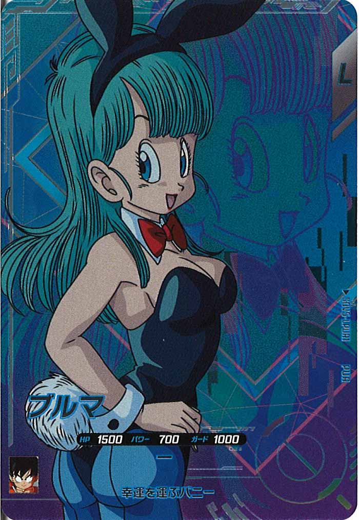 [DB_SDV5]ブルマ【PUR】SDV5-LPUR1