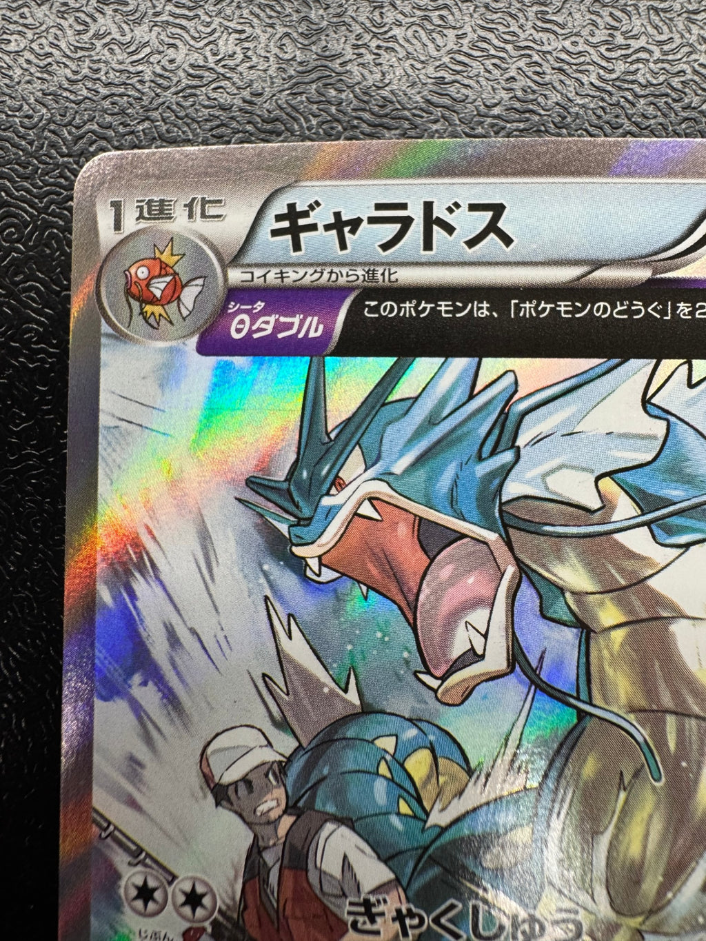 [XY7]ギャラドス【R】021/081