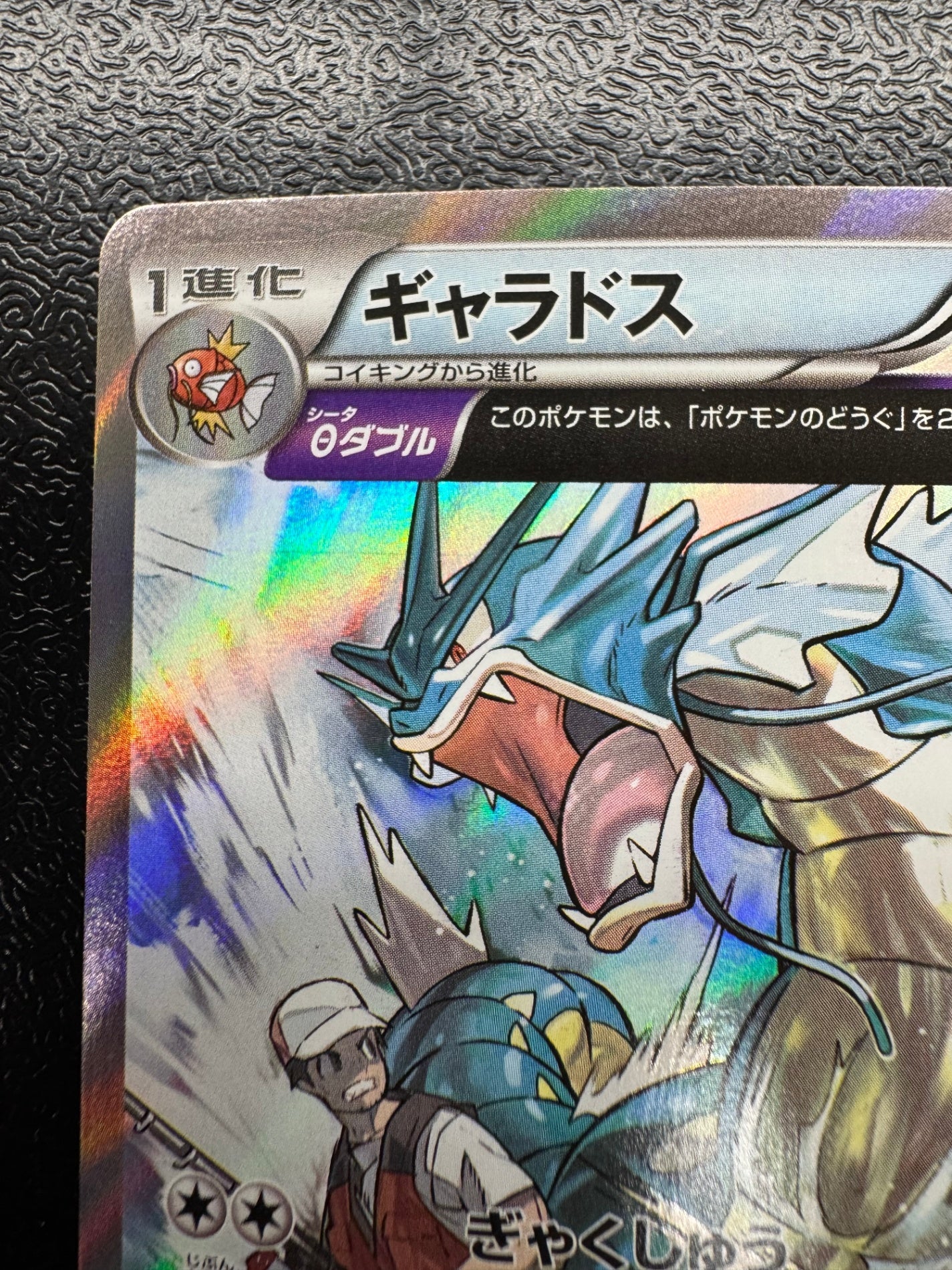 [XY7]ギャラドス【R】021/081