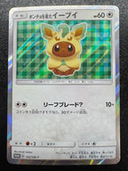 [SM-P]ポンチョを着たイーブイ【No mark】142/SM-P