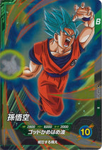 [DB_SDV8]孫悟空【R】SDV8-007