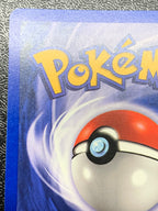 ロケット団参上!!　（英語版）