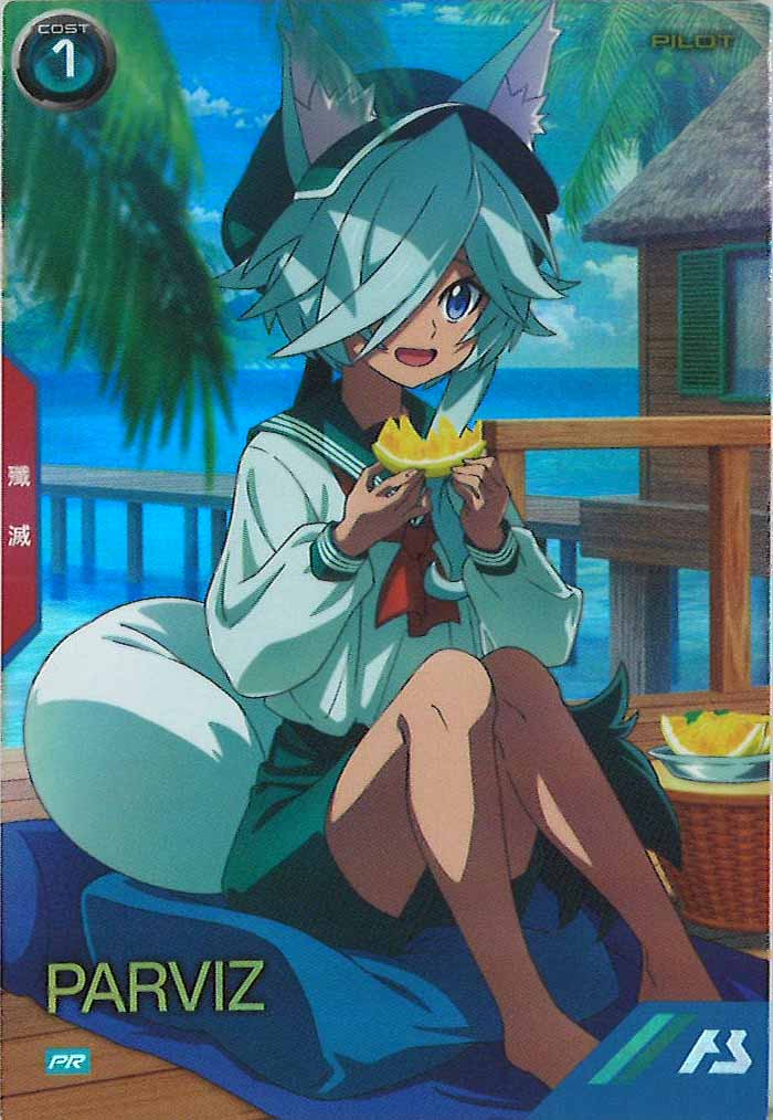 [PR]パルヴィーズ【PR】PR-251