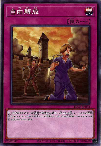 [DP25]自由解放(ノーマル)DP25-JP033