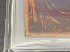 【鑑定品PSA8】[IGAS]万物創世龍(１００００シークレットレア)IGAS-JP000