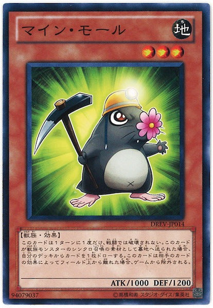 [DREV]マイン・モール(ノーマル)DREV-JP014