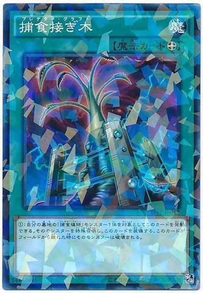 [SPFE]捕食接ぎ木(ノーマルパラレル)SPFE-JP012