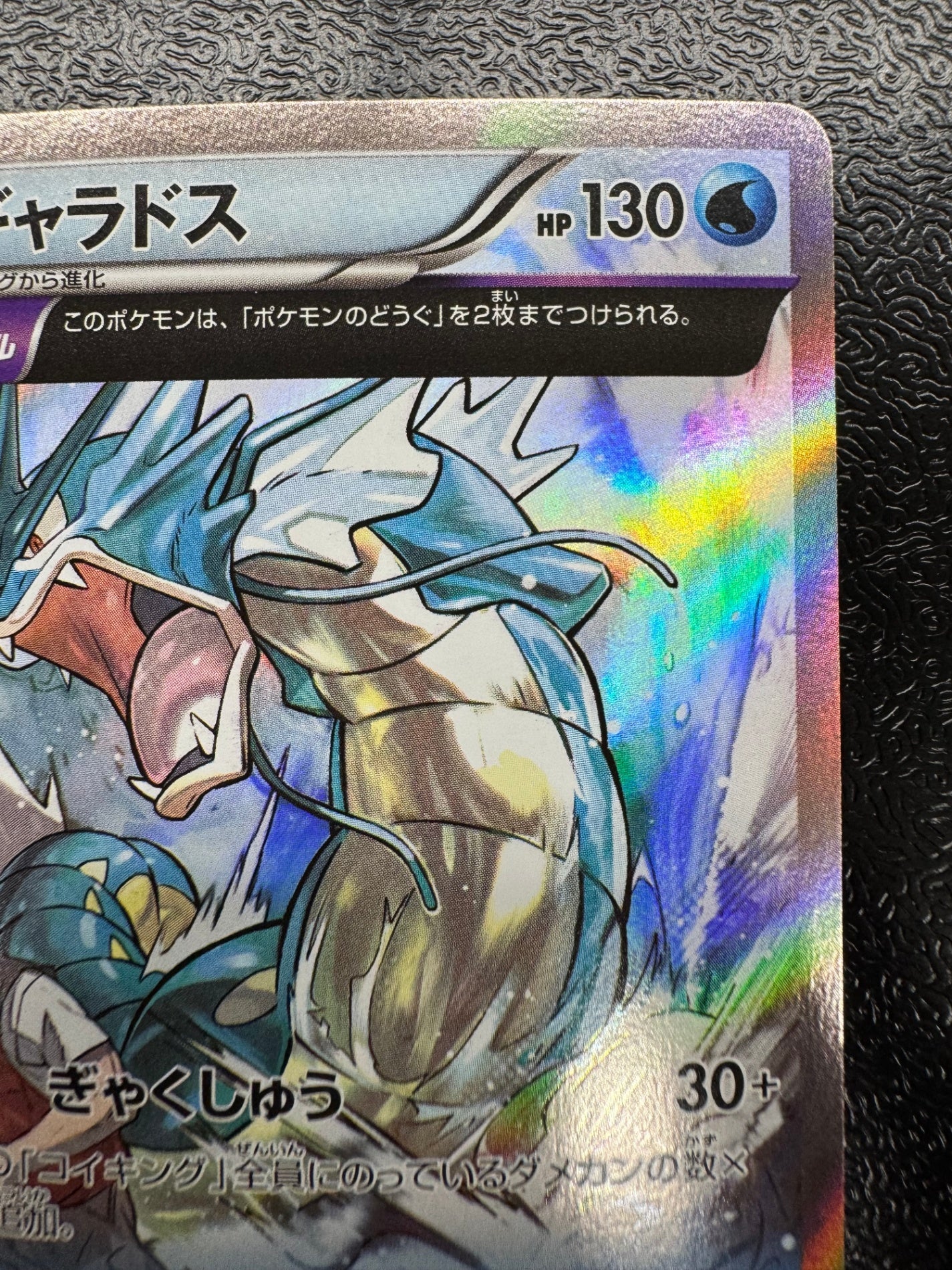 [XY7]ギャラドス【R】021/081