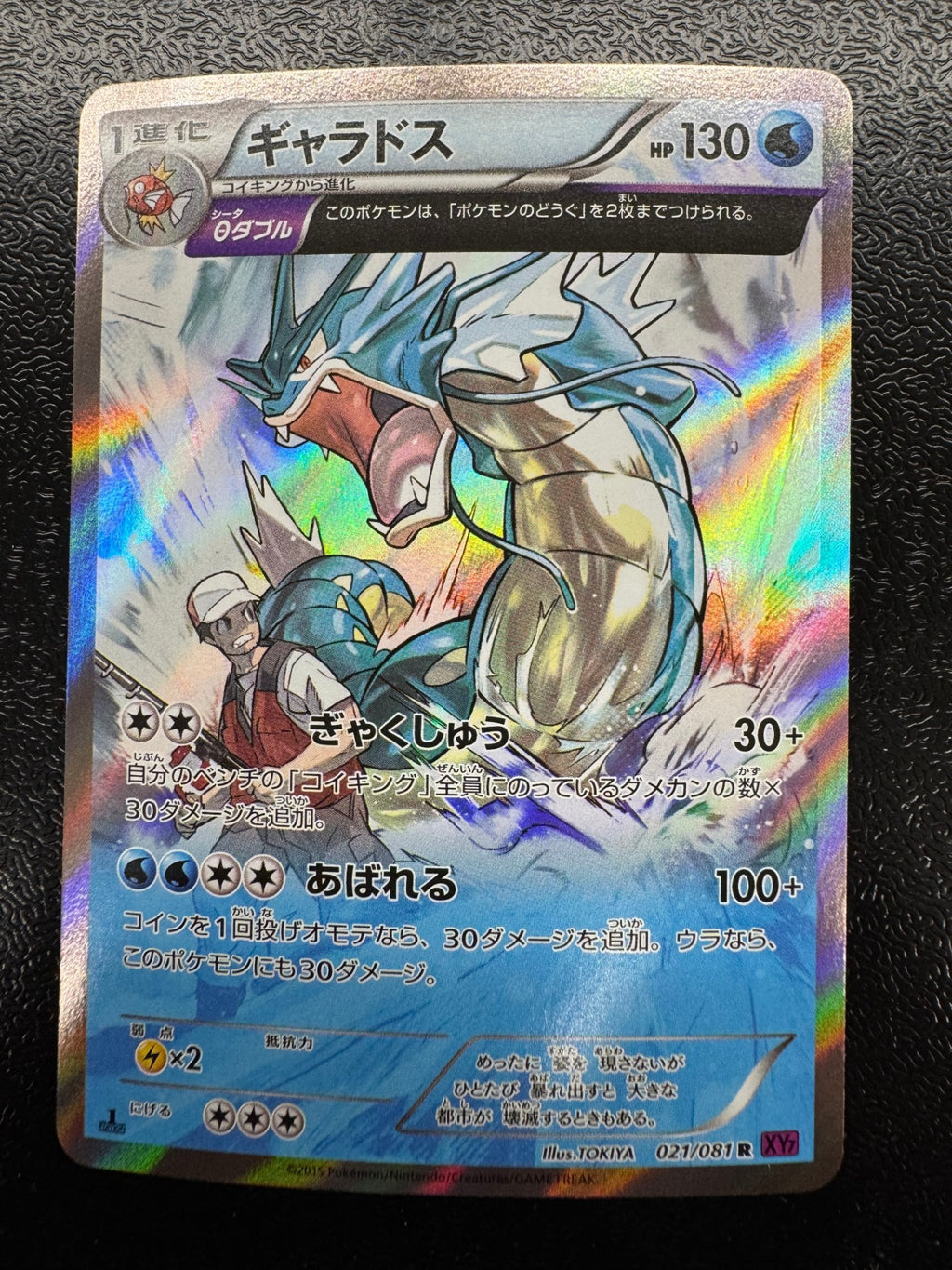 [XY7]ギャラドス【R】021/081
