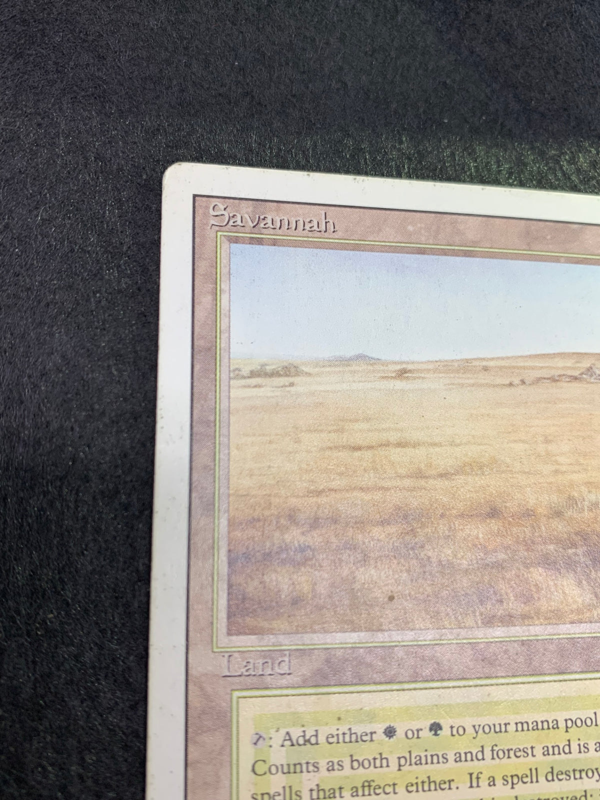 《Savannah》[3ED][EN]