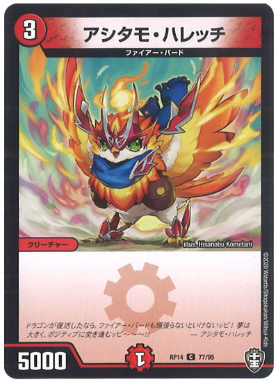 [DMRP-14]アシタモ・ハレッチ【C】77/95