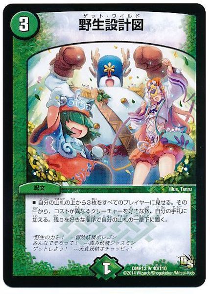 [DMR-13]野生設計図【R】40/110