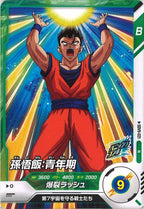 [DB_SDV9]孫悟飯:青年期【N】SDV9-021