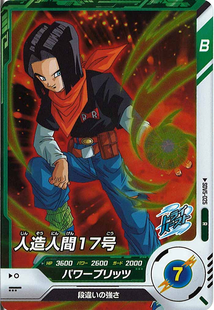 [DB_SDV5]人造人間17号【R】SDV5-025