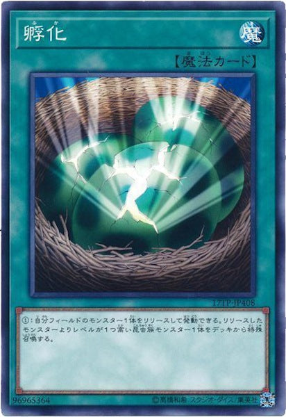 [17TP]孵化(ノーマル)17TP-JP408