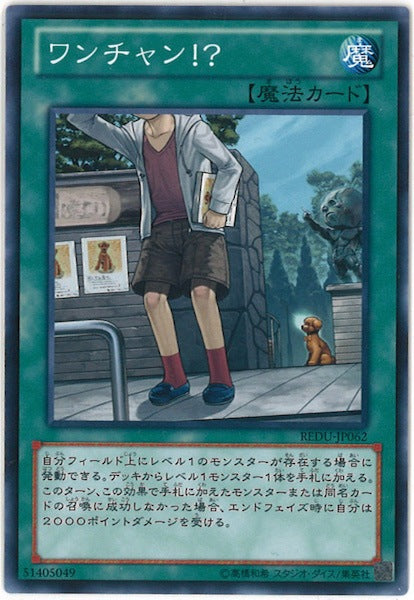 [REDU]ワンチャン！？(ノーマル)REDU-JP062