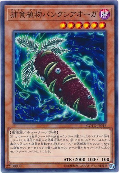 [COTD]捕食植物バンクシアオーガ(ノーマル)COTD-JP016